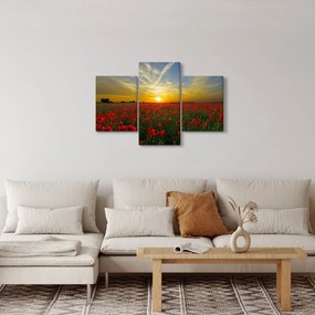 Egy kép a pipacs mezőről (90x60 cm)