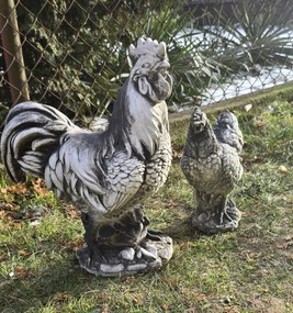 Kakas és tyúk beton figura szett kerti dekorációs díszek 39cm 2 db