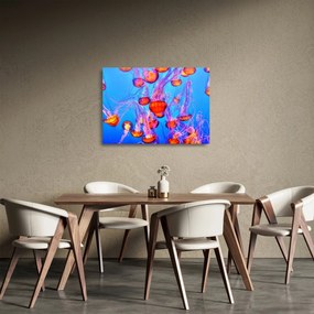 Medúza a tengerben képe (üvegen) (70x50 cm)