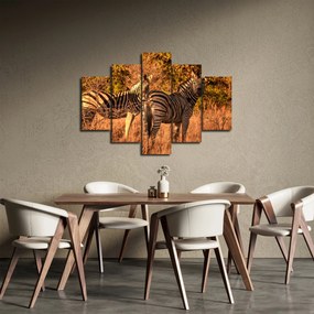 Zebrák képe (150x105 cm)