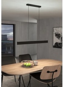 Eglo 900878 - LED RGBW Dimmelhető csillár zsinóron ANDREAS-Z LED/38W/230V fekete