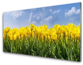 Akrilkép Tulipán virágok Plant 100x50 cm 2 fogas