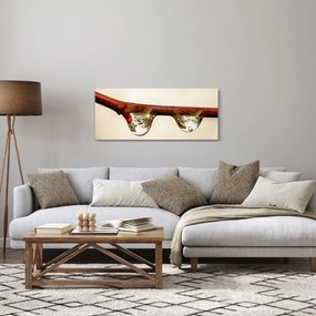 Vízcseppek a faágon képe (120x50 cm)