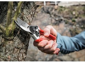 Extol Premium - Kerti olló 215 mm