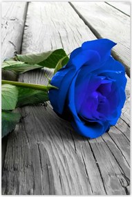Poszterek 80x120 Kék rózsa a deszkákon
