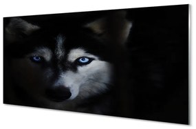 Akrilkép farkas szemet 140x70 cm