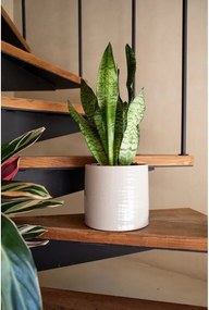 Kerámia kézzel készített kaspó ø 25 cm Fortuna – Artevasi