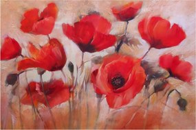 Kép - Farkas mák (90x60 cm)