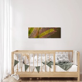 A növény képe (órával) (90x30 cm)