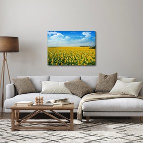 Kép - napraforgó (70x50 cm)