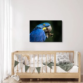 Papagáj képe (90x60 cm)