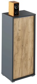 Szekrény Hamila NEW TYP 10 (grafit + artrisan tölgy). 1028767
