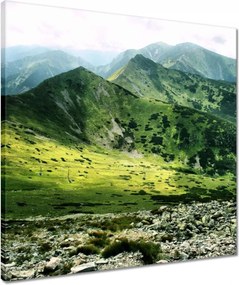 Vászonkép 50x50 Tátra Lengyel hegyek Kilátás