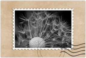 Poszterek 120x80 Pitypang Virág Virágok