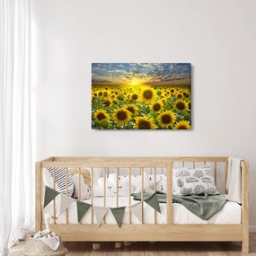 Kép - Napraforgók naplementében (90x60 cm)