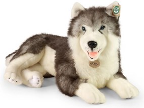 Rappa Plüsshund Husky liegend 60 cm