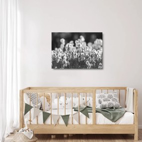 Üveg kép - Nyári rét (70x50 cm)