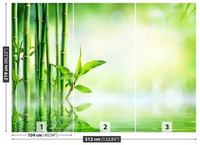 Fotótapéta Bamboo Víz 104x70 cm
