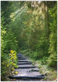 Poszterek A4 Pion Tájkép