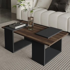 Matris - Walnut, Anthracite