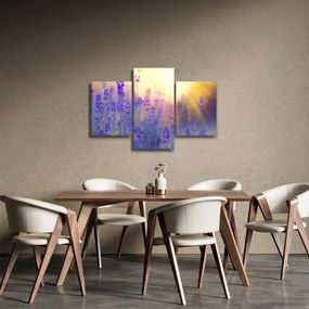 Kép - Levendula (90x60 cm)