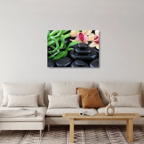 Üveg kép - Kövek és orchideák (70x50 cm)