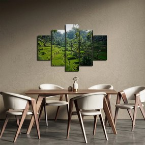 Kép a rizs teraszokról, Tegalalang, Bal (150x105 cm)