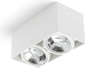 RENDL JAMES II DIMM stropní matná bílá 230V LED 2x15W 24° 3000K