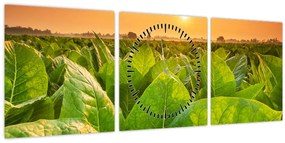 Kép - Mező (órával) (90x30 cm)