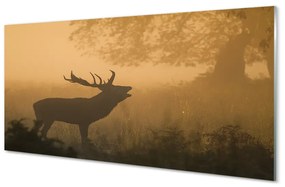 Üvegképek Deer napkelte 100x50 cm 2 fogas