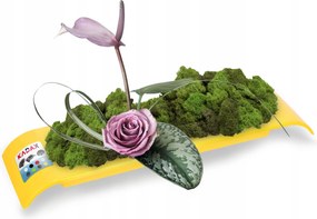 Virágtartó Kaspó Fedél Ikebana Kompozíció Sárga