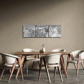 Kép - Róka, fekete, fehér (órával) (90x30 cm)