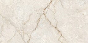 Granito Champagne Glossy 30x60