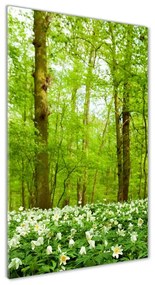 Üvegfotó Virágok az erdőben osv-83235444