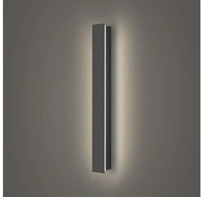 Brilagi - LED kültéri fali lámpa LINEAR LED/12W/230V 4000K IP65 antracit