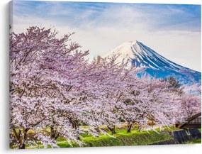 Kép - Japán tavasszal (70x50 cm)