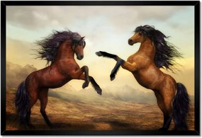 Poszterek keretben 60x40 Lovak paripák