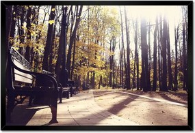 Poszterek keretben 60x40 Városi park Tájkép