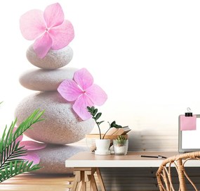 Fotótapéta kőegyensúly és rózsaszín keleti virágok