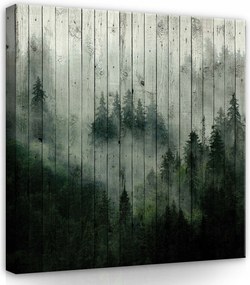 Vászonkép 40x40 Ködös erdő misztika természet nyugalom mélység fa