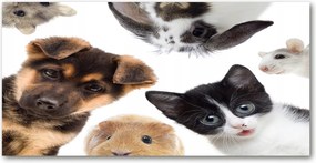 Fotó-üvegkép Háziállatok 140x70