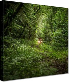 Vászonkép 60x60 Quad Négy kerék Terep