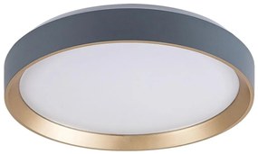 Rabalux 71185 - LED Mennyezeti lámpa LIATRIS LED/25W/230V 3000K átm. 38 cm