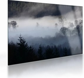 A köd képe az erdő felett (üvegen) (70x50 cm)