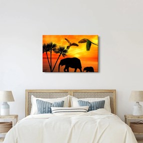 Kép - papagájok és elefántok (90x60 cm)