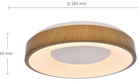 Brilagi - DORIA LED mennyezeti lámpatest LED/24W/230V