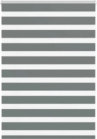 vidaXL zebrafüggönnyel sötét szürke szövetszélesség 90,9 cm poliészter