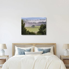 Egy kép a rétről egy fával (üvegen) (70x50 cm)