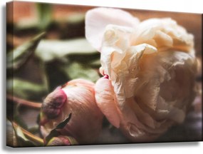 Botanika Bazsarózsa virágok vászonkép 60x40 cm
