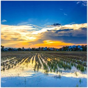 Poszterek 30x30 Tájkép Látvány